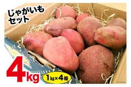 カラフルじゃがいもセット [ＶＩＶＡマルシェ 北海道 剣淵町 14656240] 野菜 国産 ジャガイモ じゃが芋