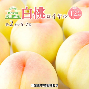 桃 2026年 先行予約 岡山 白桃 ロイヤル 約2kg 5～7玉入り もも モモ 岡山県産 国産 フルーツ 果物 ギフト 橋田商店