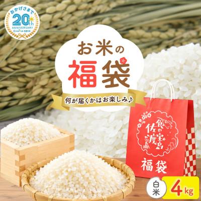 ふるさと納税 佐渡市 【20周年記念】お米の福袋|精米4kg 令和7年産(佐渡産コシヒカリ確定+食べ比べセット)