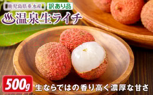 A1-22545／【 訳あり品 】【 期間限定 】 生ライチ 500g 訳あり 温泉水で育てた希少な 国産 ライチ