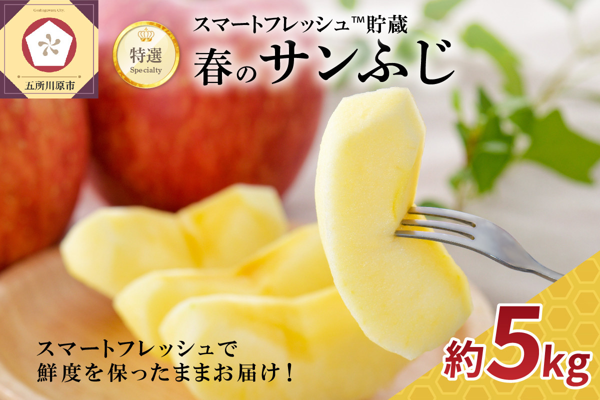 
            【選べる配送時期】りんご春のサンふじ特選5kgスマートフレッシュTM貯蔵またはCA貯蔵
          