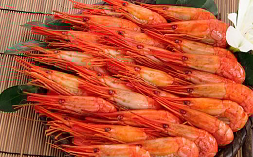 
            B-81003 【北海道根室産】北海シマエビ500g(32～46尾)×2P(計1kg)
          