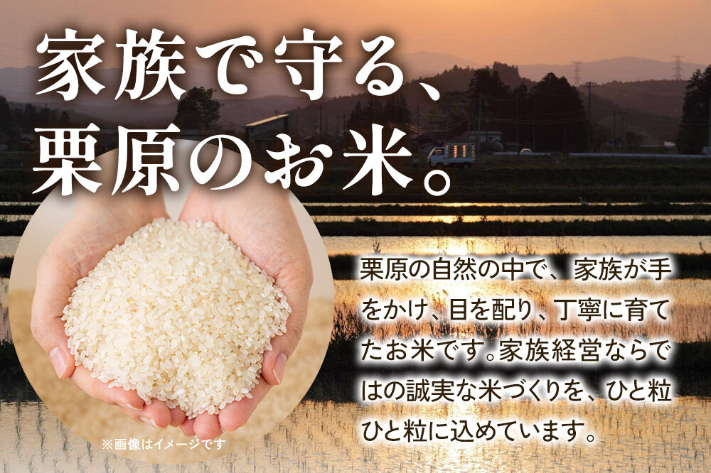 栗原育ちの黒澤農産のお米 令和7年産 白米 だて正夢 10kg （10kg×1袋） [だて正夢 伊達正夢 白米 米 ブランド米 生活品 食卓 おにぎり 宮城県 栗原市 黒澤農産]