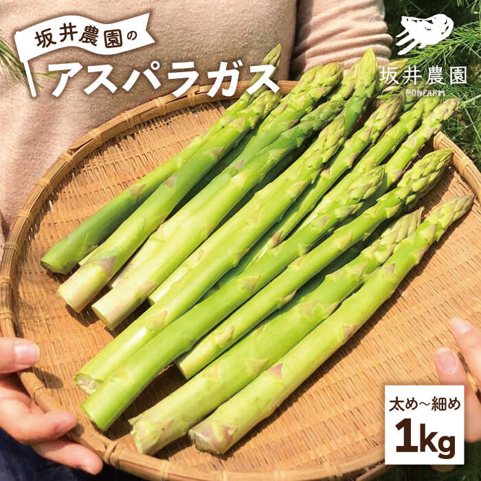【ふるさと納税】【6月中旬以降発送】テレビで紹介！ サイズが豊富で食卓楽しい！アスパラガス 1kg＜坂井農園＞那珂川市 野菜 レシピ付き 有機栽培 アスパラ アスパラガス 野菜[GBP001]11000 11000円