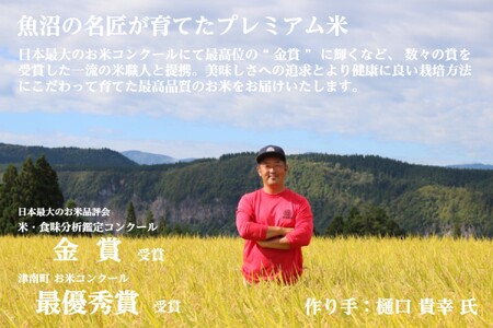 【令和7年産】 定期便 （真空パック 2合 ×12袋）×12ヶ月 雪蔵貯蔵 無洗米 魚沼産コシヒカリ 雪と技 金賞受賞 農薬5割減・化学肥料5割減栽培 |津南町 魚沼