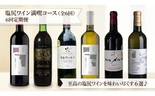 
                  塩尻プレミアムワイン定期便【全6回】 | ワイン わいん 塩尻ワイン プレミアム 白 白ワイン 赤 赤ワイン 定期便 飲み比べ お酒 おさけ 酒 さけ メルロ シャルドネ シャトー・メルシャン 樽熟 五一わいん 幸西ワイナリー 井筒ワイン 塩尻市 長野県 信州
                