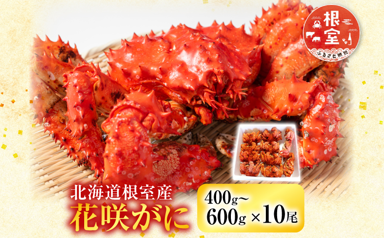【北海道根室産】花咲かに400～600g×10尾 D-36007