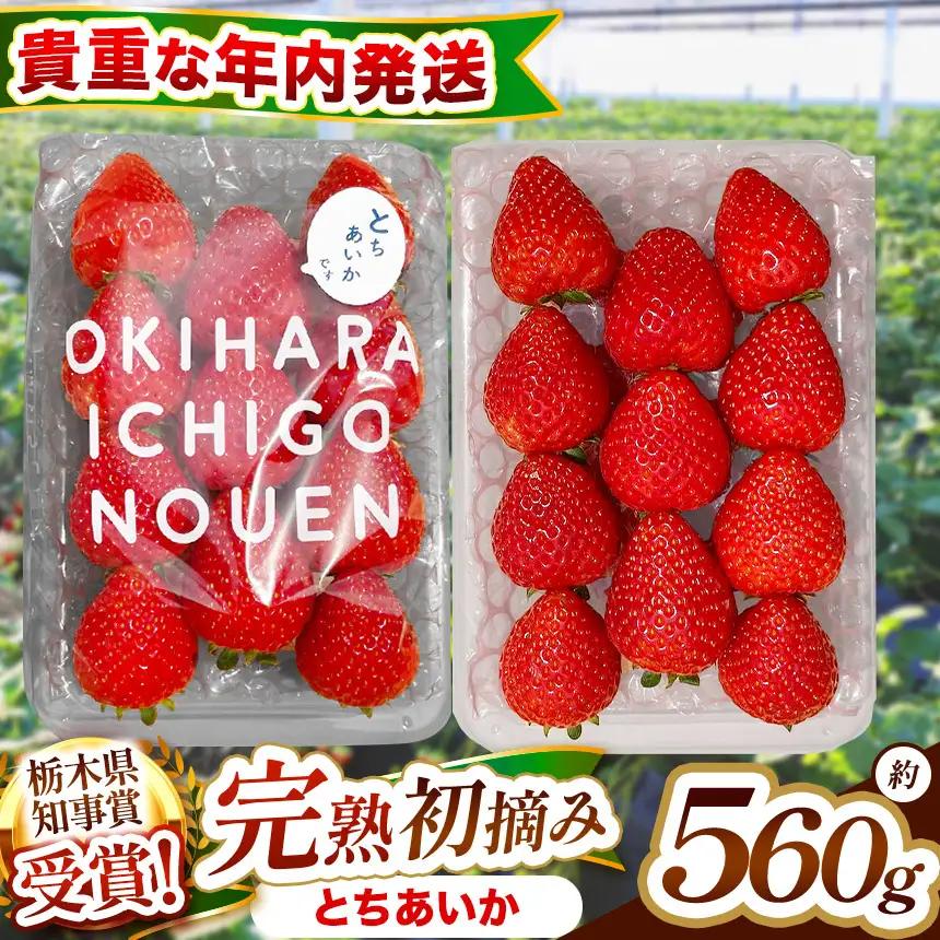 【先行予約】[数量限定] 貴重な12月発送！新定番「初摘み とちあいか」 280g×2P| 澳原いちご農園　栃木県 矢板市