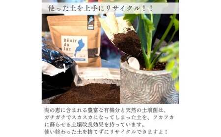 植物由来100％ 天然土壌菌入り肥料 湖の恵 観葉植物のお手入れセット　滋賀県長浜市/株式会社明豊建設[AQBR008]