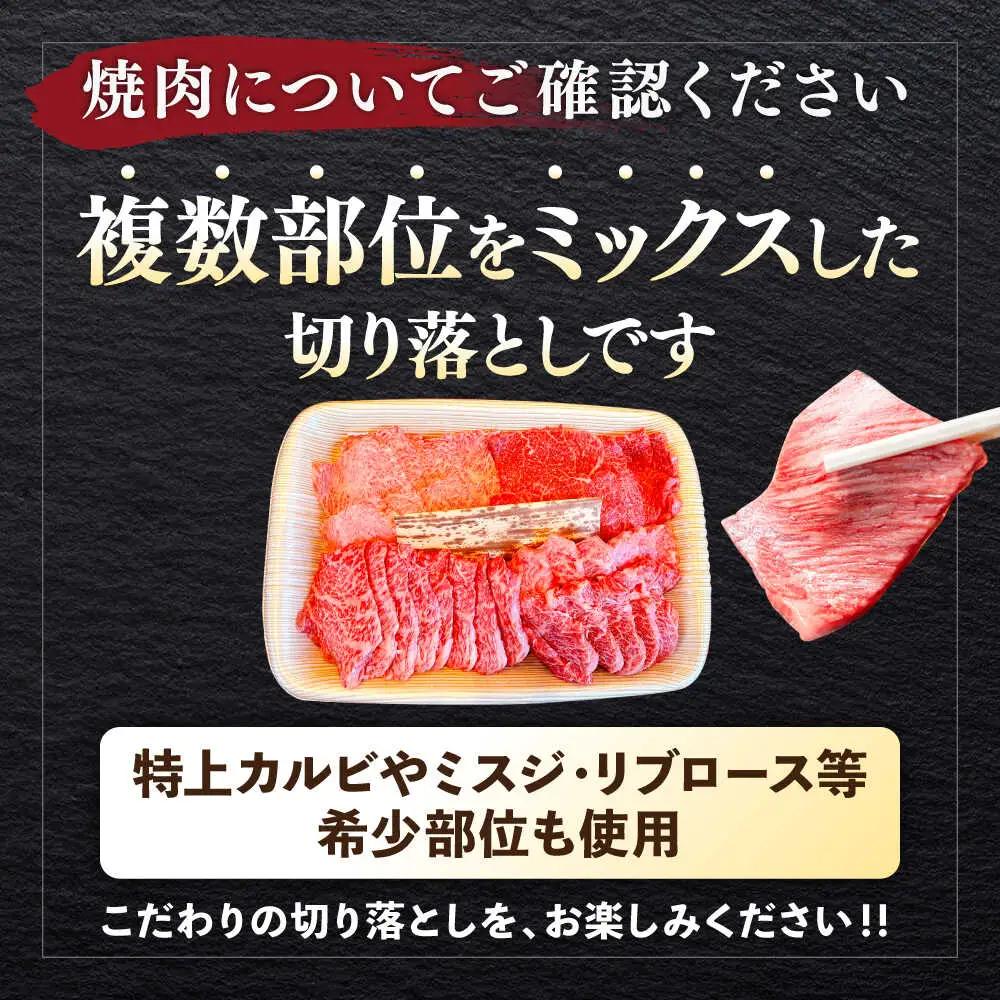 【隔月定期便全3回】葉山牛 まんぷく定期便 牛肉(スライス盛合せ・焼肉用ミックス・サーロインステーキ) 食べ比べ[ASBD060]