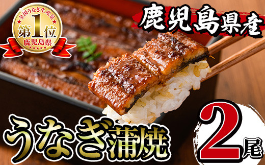 i505 鹿児島県産うなぎ蒲焼2尾セット(約140g×2・計約280g) うなぎ 鰻 ウナギ 2尾 蒲焼き 国産 鹿児島県産 焼きたて 生産量日本一 真空パック おかず 晩御飯 特別な日 【薩摩川内鰻】