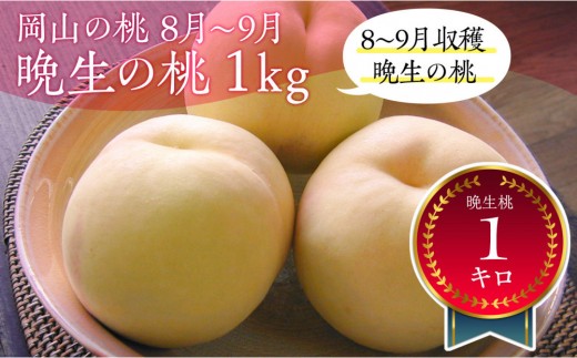 岡山県産　晩生の桃　8月 - 9月にお届け（桃3-4玉/1kg)