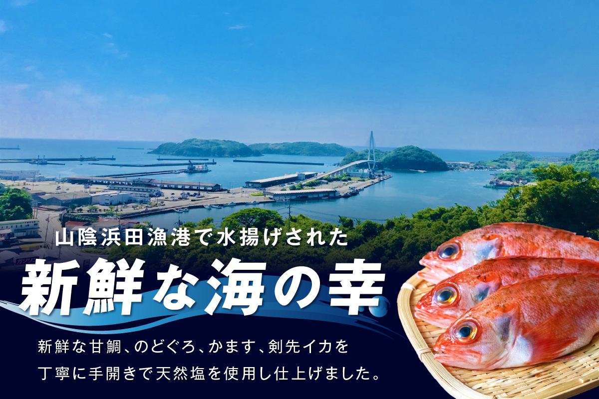 山陰浜田港 水揚げされた大きめ人気干物セット 魚介類 魚貝類 魚介 魚 干物 干もの 一夜干し 干物セット セット 加工品 【424】