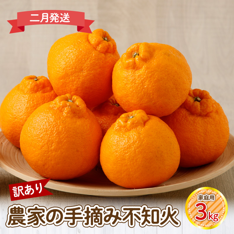 S040-030-02_【訳あり】≪2月発送≫農家の手摘み　不知火　家庭用　3kg