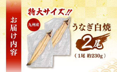 鹿児島産 うなぎ 白焼 2尾セット 桂川町/山水商事[ADAH009] うなぎ 鰻 ウナギ うなぎ 鰻 ウナギ うなぎ 鰻 ウナギ うなぎ 鰻 ウナギ うなぎ 鰻 ウナギ うなぎ 鰻 ウナギ うなぎ 