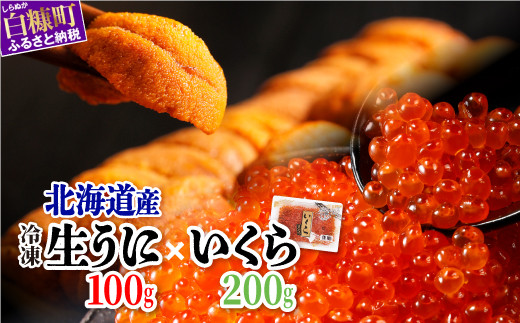 
            「生うに 100g」× 「いくら醤油漬(鮭卵) 200g(200g×1) 」のセット　いくら北海道 醤油鮭いくら うに 人気 ふるさとチョイス 大好評品 北海道 白糠町
          