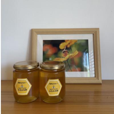 ふるさと納税 瑞浪市 純粋ハチミツ(アカシア300g×2)