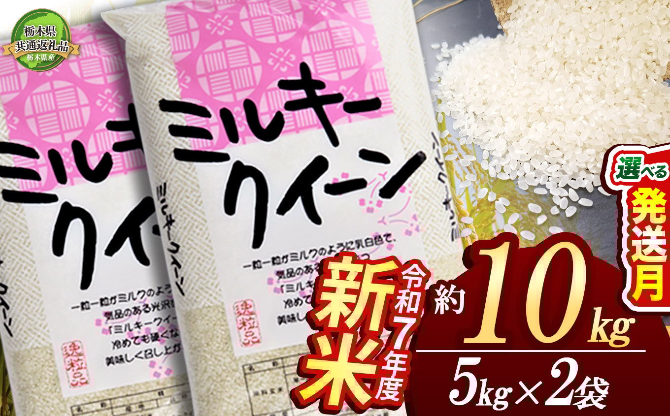 
            【栃木県共通返礼品】【先行予約】ミルキークイーン 10kg（5kg×2袋） | 定期便あり 米 こめ コメ kome 白米 精米 お米 みるきー みるきーくいーん ﾐﾙｷｰｸｲｰﾝ Milky queen ミルキークウィーン もちもち モチモチ ふっくら 新米 栃木米 令和7年度米 令和7年度 2025年度米 2025年度 ブランド米 栃木県 特産品 送料無料 栃木県 下野市 しもつけ市
          