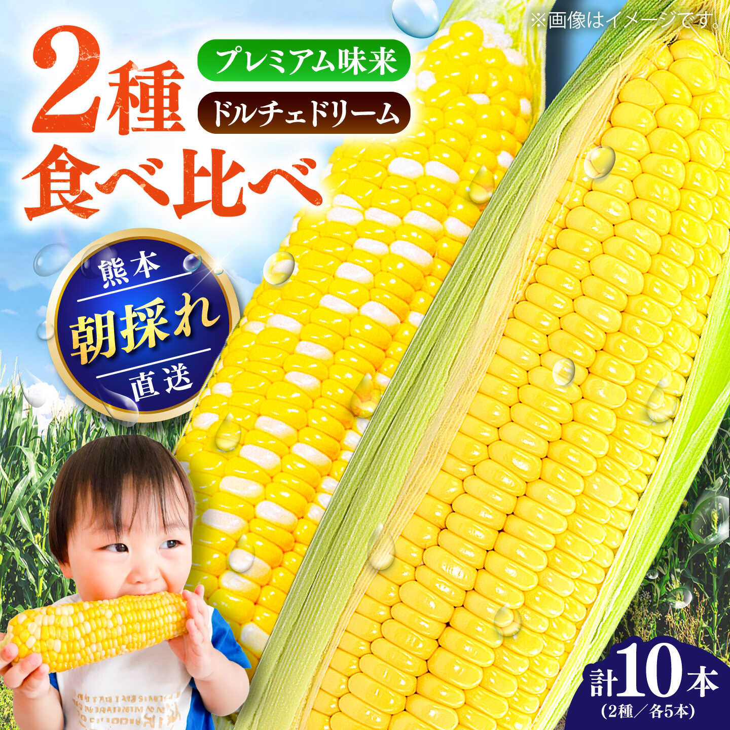 【ふるさと納税】【先行予約】【2027年5月下旬より順次発送】スイートコーン(ドルチェドリームとプレミアム味来) 食べ比べセット / とうもろこし 熊本県 菊陽町【なかむら農園】[BHCJ006]
