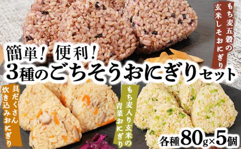 簡単・便利 3種のごちそうおにぎりセット【02402-0258】