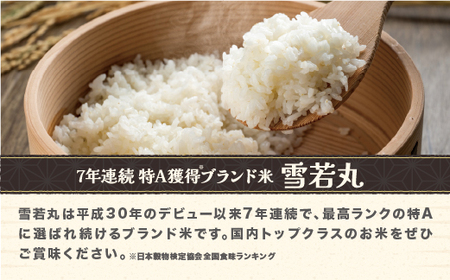 令和7年産 新米 玄米 雪若丸 30kg 30kg×1袋 配送時期選べる 1月上旬~3月下旬発送 2025年産 米 お米 国産 山形県 尾花沢市 ko-ywgxa30