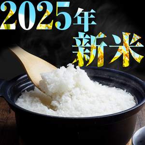 【栃木県共通返礼品】【令和7年度新米先行予約】栃木県産コシヒカリ 無洗米 10kg  | お米 米 こめ 洗米 新米 無洗米 コシヒカリ こしひかり 美味しい お弁当 選べる ふるさと 納税 栃木県 