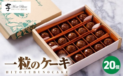 【 期間限定 生活応援 】1981 一粒のケーキ 20個入　KN035-004-02-cp