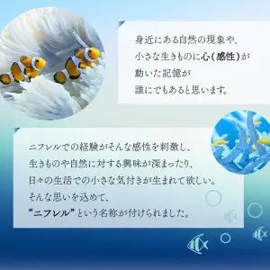 【大人2枚】生きているミュージアムNIFREL入館券