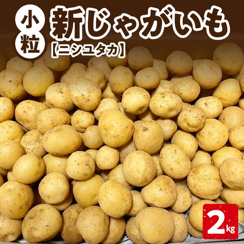 【ふるさと納税】【2026年先行予約】 新じゃがいも ニシユタカ 小粒 2kg 3月お届け じゃがいも 新じゃが 芋 ポテト 野菜 根菜 ミネラル 赤土 皮ごと 素揚げ 料理 調理 先行受付 美味しい 新鮮 穐田農園 知名町 おすすめ ランキング プレゼント