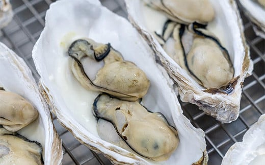 菅原商店の山田湾育ちのカキグラタン（4個入り） 三陸山田 かき 牡蠣 海産品 海産物  YD-823