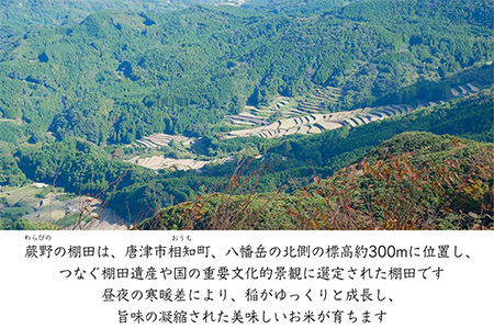 特別栽培棚田米「蕨野」5kg×3袋(合計15kg) 家庭排水が一切入らない自然水で作られたお米 10日に1回精米で新米のような味わい