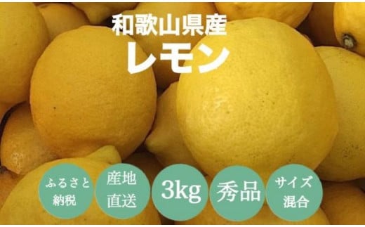 
            ［産地直送］和歌山県産 レモン 3kg サイズ混合 ［US45］
          
