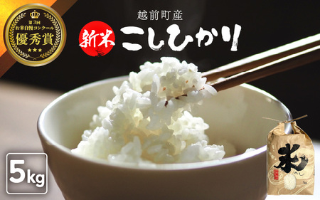 【令和7年産・新米】お米 こしひかり 5kg（精米） 福井県産 炊きたての美味しさを追求したお米【米 コメ kome 5キロ 精米 白米 人気品種 便利】 [e47-a007]