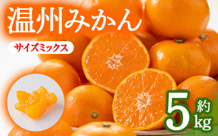 ＜期間限定！2024年10月上旬以降順次発送予定＞香川県産 温州みかん(約5kg/サイズミックス)  まんのう町 特産品 香川県 生もの 国産 果物 果実 くだもの フルーツ みかん 蜜柑 傷あり 柑橘【man078・man119】【Aglio nero】