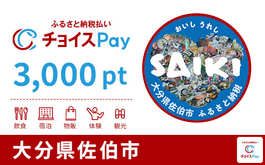 
            佐伯市チョイスPay 3,000pt【会員限定のお礼の品】
          