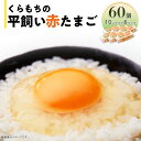 【ふるさと納税】くらもちの農場から平飼いたまご 赤玉子 新鮮 赤玉 高級 平飼い 健康 飼育 国産 鶏 鳥 鶏卵 卵 タマゴ お菓子 朝食 生卵 卵かけごはん TKG ゆでたまご オムレツ 親子丼 すき焼き 目玉焼き 357 たまご 60個 6パック 小分け 新鮮 赤 玉子 卵 タマゴ