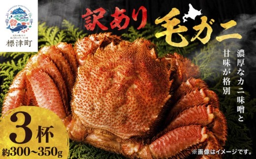 【溢れる旨味！】こだわり品質 毛ガニ 若蟹 300g~350g×3杯 わけあり 国産 北海道 道東産 蟹 かに カニ 毛がに 毛蟹  冷凍毛ガニ 冷凍かに 冷凍カニ 訳ありカニ 訳アリ 訳アリ毛ガニ 訳あり毛ガニ 人気 ランキング おすすめ ごほうび 贅沢 毛ガニ冷凍 蟹脚 蟹あし カニ脚 かに北海道 北海道産 魚貝類 魚介類 海鮮 魚介 魚貝 お盆 お祝い プレゼント 北海道 標津町