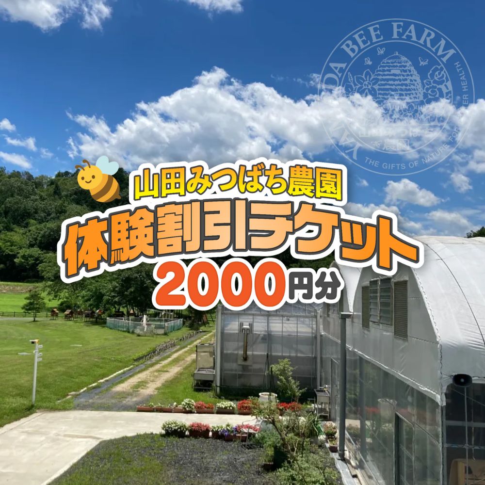 【ふるさと納税】［山田みつばち農園］体験割引チケット（2000円分）049-a001