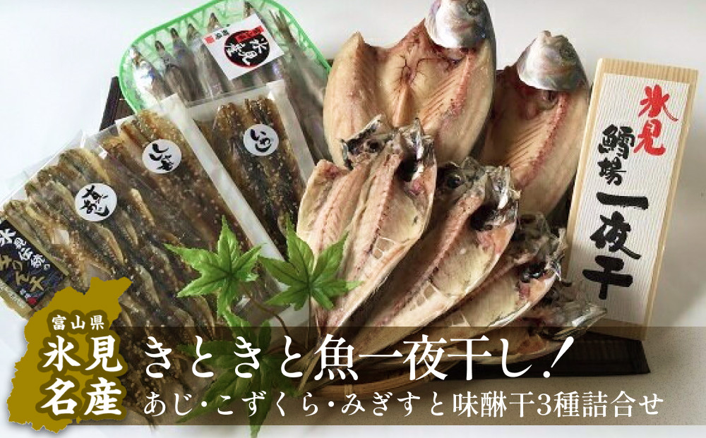 
            氷見産きときと魚一夜干し！あじ・こずくら・みぎすと味醂干3種詰合せ　〈冷凍〉
          