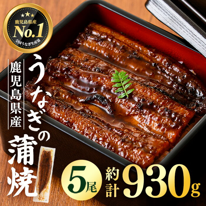【ふるさと納税】鹿児島県産うなぎ蒲焼 (計約930g / 約186g×5尾) 鰻 ウナギ うなぎ うな重 鹿児島県産 冷凍 【株式会社薩摩川内鰻】