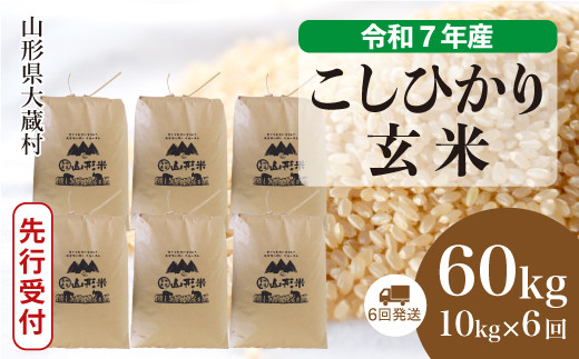 
            ＜令和7年産米先行受付＞ 大蔵村産 こしひかり 【玄米】 60kg定期便 （10kg×6回発送）＜配送時期選べます＞
          