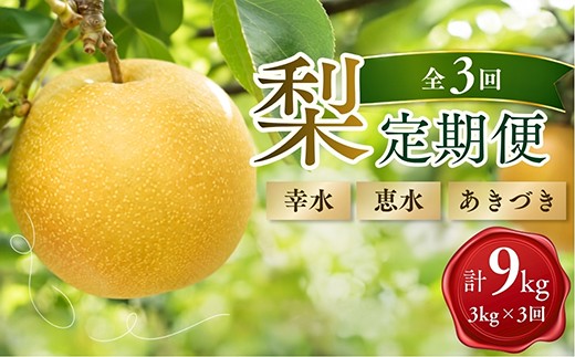 
                  梨 定期便 全3回 幸水 恵水 あきづき 各 3㎏ 合計 9kg 先行予約 2026年 | 梨 幸水 恵水 あきづき オリジナル 大きい みずみずしい 品種 フルーツ 高級 産地直送 限定品 贈り物 新鮮 お取り寄せ デザート ギフト 風味豊か 大玉 香り 上品 希少価値 珍しい 地域 甘い 限定 果物 果樹 檜山果樹園 茨城県 常陸太田市
                
