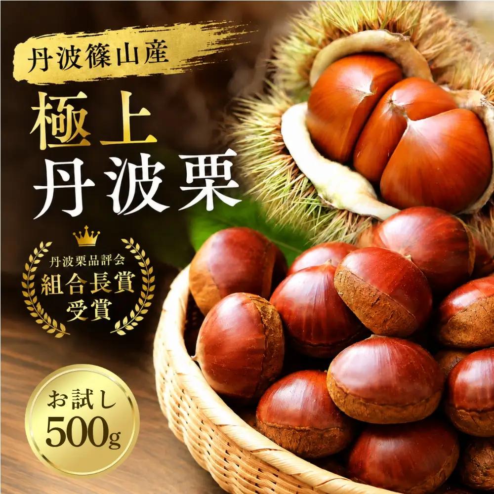 丹波栗【品評会受賞】丹波栗 500g お試し  丹波栗