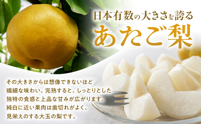 あたご梨 3～6玉 合計約4kg 梨 なし 果物 フルーツ 岡山県産 2026年