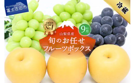 【9月配送】旬のお任せフルーツボックス シャインマスカット 山梨県産 桃 果物 くだもの 先行予約 2024年 高級 旬 フルーツ果物 フルーツ くだもの 果実 フルーツ王国 旬 フルーツ フルーツ 旬 山梨県 シャインマスカット フルーツ マスカット 果実 フルーツ 高級 くだもの 2024年 先行予約 シャインマスカット ぶどう 予約 山梨 シャインマスカット 山梨県産 桃 果物 くだもの