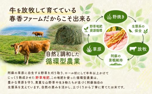 令和8年産 玄米 おとみや日和 阿蘇の名水と野草堆肥のめぐみ 10kg×3回 春香ファーム 《11月頃出荷予定》 玄米 定期便 3回 10kg お米 阿蘇 名水 野草堆肥 おとみや日和 春香ファーム