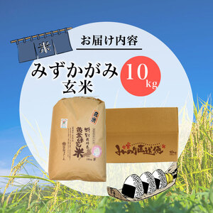 数量限定 先行予約 新米 玄米 みずかがみ 10kg 玄米 玄米 玄米 玄米