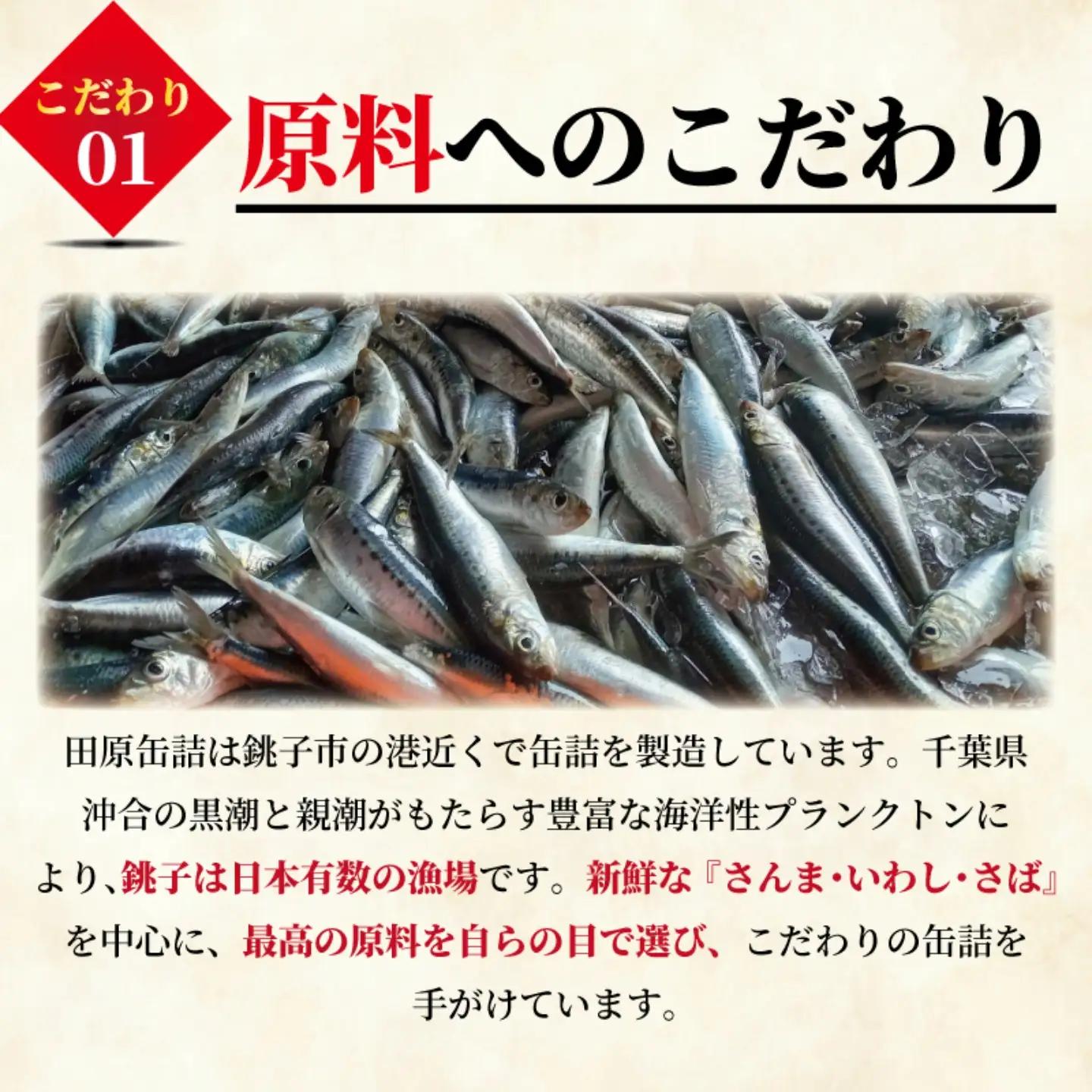 【 缶詰 】 さんま蒲焼 60個 | 缶詰