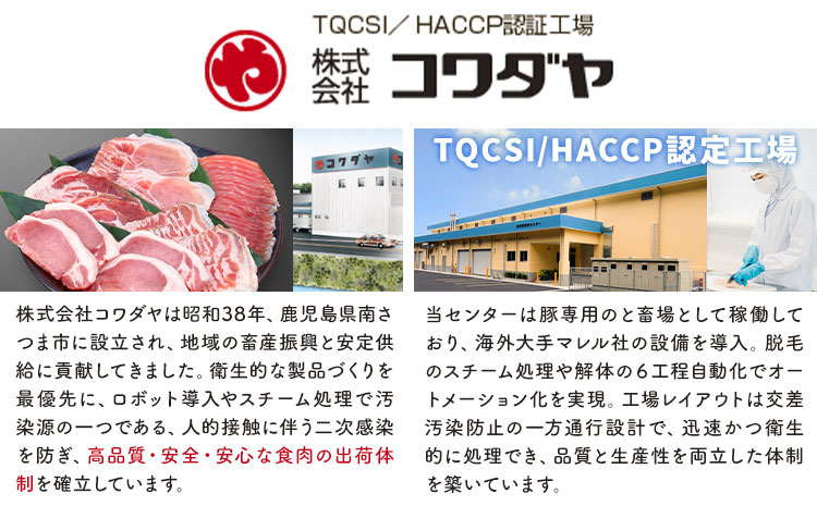 ＜訳あり＞鹿児島県産 豚 切り落とし【6ヶ月定期便】500g×5パック 計15kg 株式会社 コワダヤ《お申込み翌月から出荷》鹿児島県 さつま町 豚 ブタ肉 切り落とし