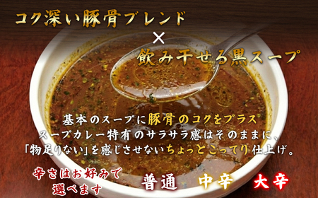 ミシュラン東京ビブグルマン掲載のこってり【黒スープ】角煮スープカレー2人前 【kt107-003】